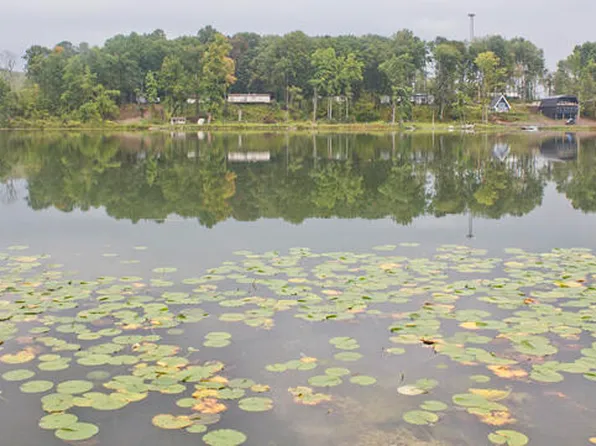 10060 M 216, Marcellus, MI 49067