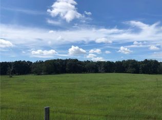13768 SE 175th St, Weirsdale, FL 32195
