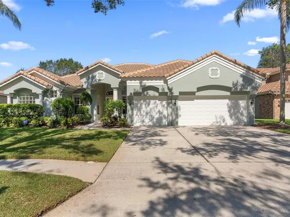 17724 Grey Eagle Rd, Tampa, FL 33647