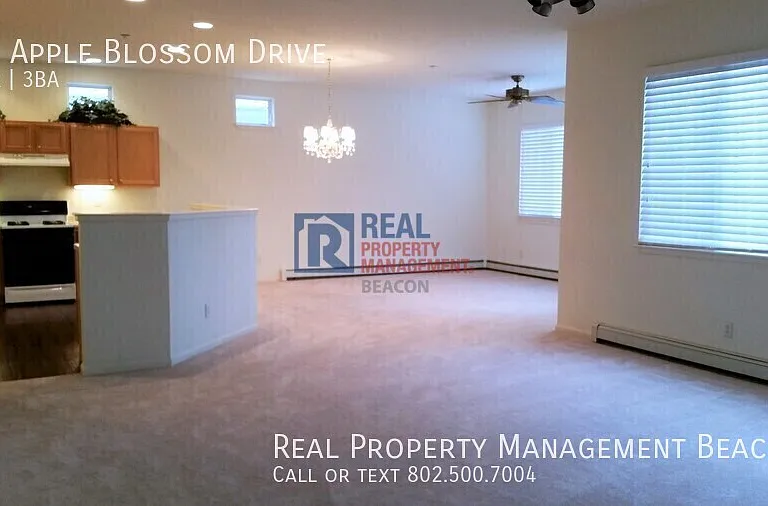 14 Apple Blossom Dr — Photo 7