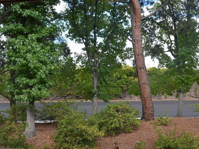 2468 W Bayshore Rd #5 — Photo 31