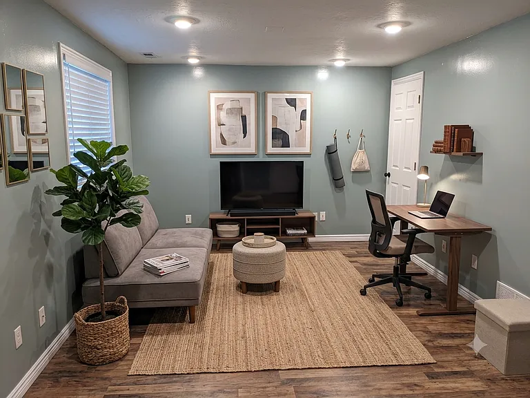 basement multi-purpose room