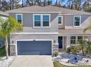 32975 Sand Creek Dr, Wesley Chapel, FL 33543