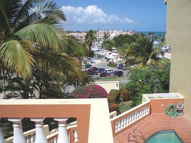 View from Patio