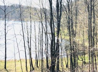 Vaud Ct, Reed City, MI 49677