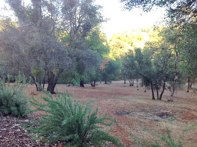 2180 Mountain Springs Rd photo 1