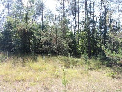 Nhn N Kirby Ave, Marion, MI, 49665