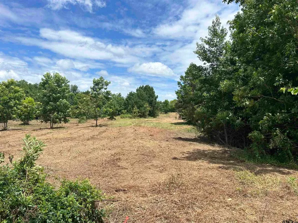 S Highway 259, Henderson, TX 75654