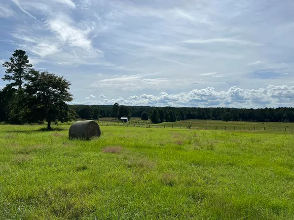0 Flowing Well Rd, Wagener, SC 29164