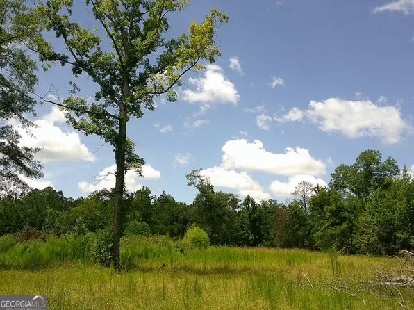 0 Highway 221 S, Kite, GA 31049