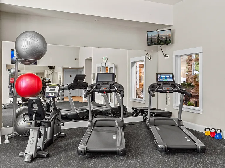Cardio Fitness Equipment