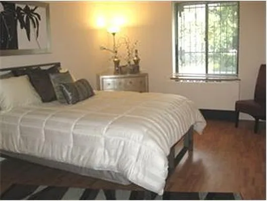 Rented by Douglas Elliman | media 27