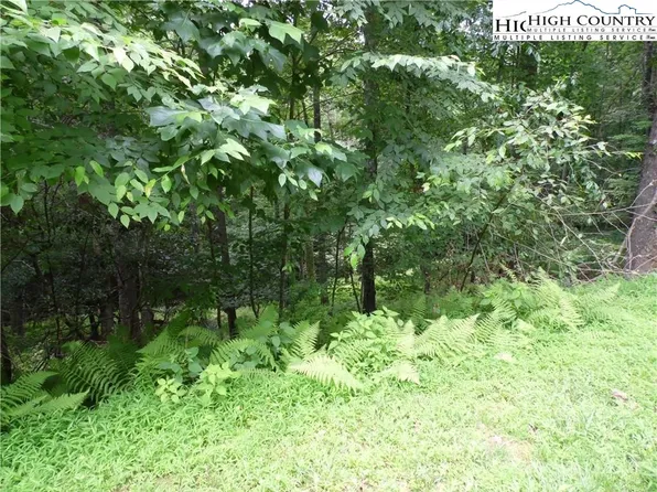 Lot 3 Woodlands Drive, Piney Creek, NC 28663