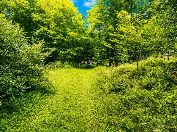 Horseshoe Rd, Victor, WV 25938