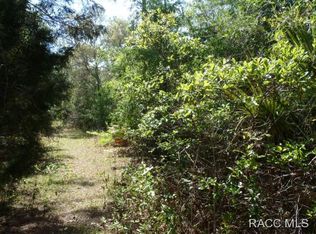 7655 W Candlewick Ln, Homosassa, FL 34448