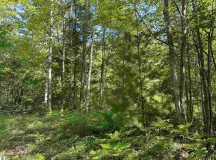 0 Fern Ave, Cadillac, MI