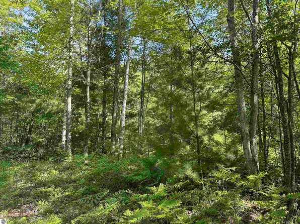 0 Fern Ave, Cadillac, MI 49601