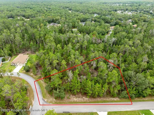 80 Bells Of Ireland Ct, Homosassa, FL 34446