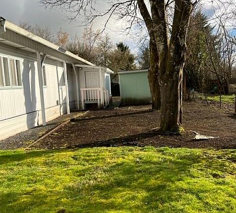 back yard