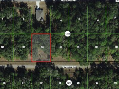 1645 E Ivydale Dr, Citrus Springs, FL, 34434