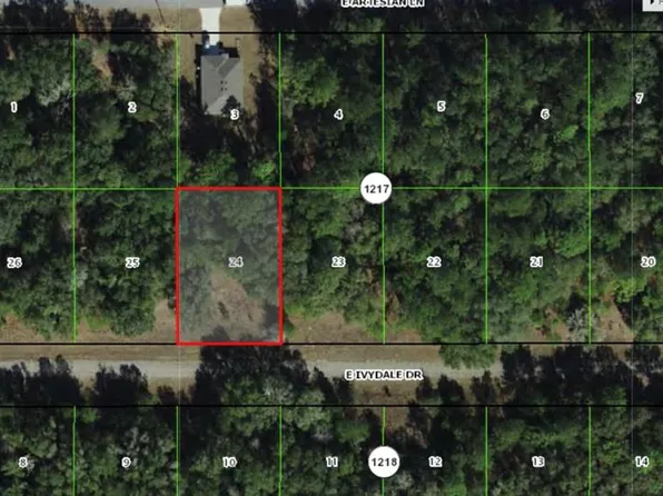 1645 E Ivydale Dr, Citrus Springs, FL 34434