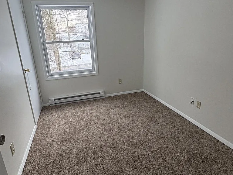 4161 Romeo Rd — Photo 11