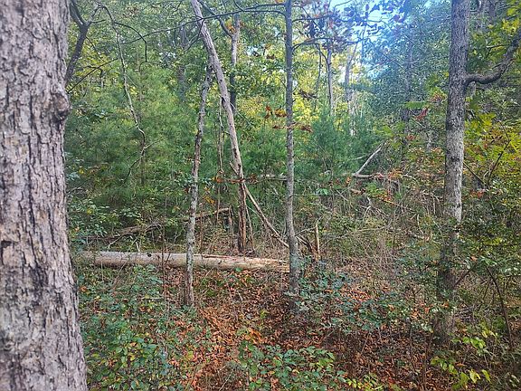 5th image of 64 Big Ridge Rd