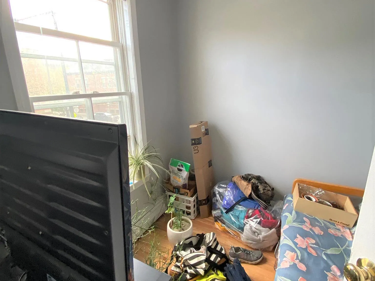 3 bed, $3,600 — Photo 3