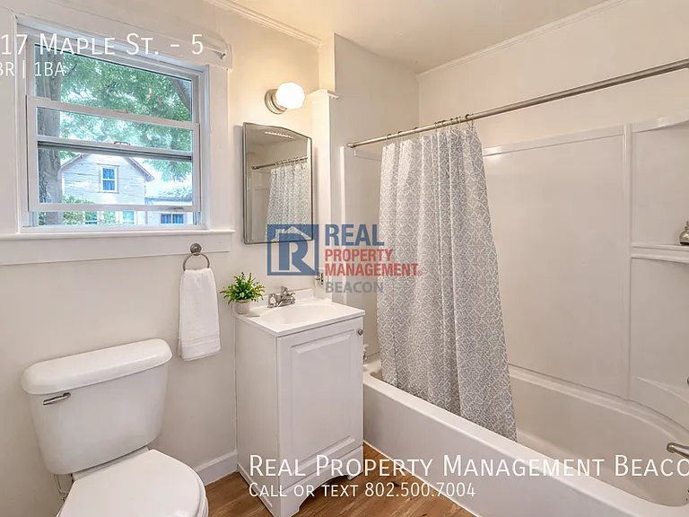 517 Maple St #5 — Photo 4