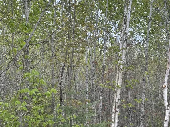 Long Shot Ln #4093-A, Minocqua, WI 54548