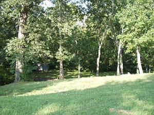 4th image of 2118 Sanborn Dr