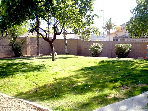 2429 E Patrick Ln Photo 1