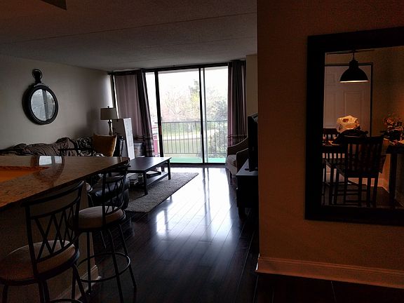 Overlooking the pond