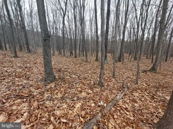 26 N River Highlands Rd, Delray, WV 26714