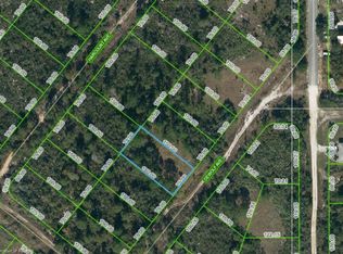 206 Dewolf Ave, Lake Placid, FL 33852