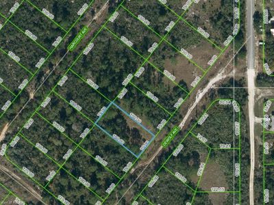 206 Dewolf Ave, Lake Placid, FL, 33852