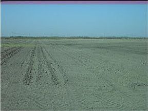 5th image of 23557 Highway 46