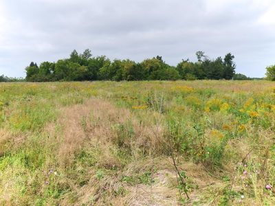 Xxxx 405th, Bluffton, MN, 56518