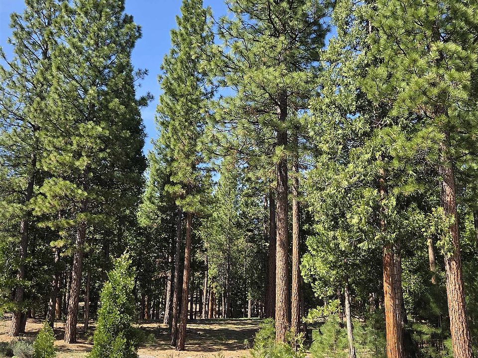 1st image of 762 Blacktail Rdg