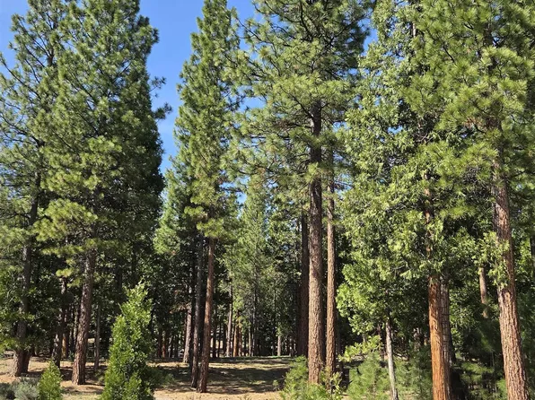 762 Blacktail Rdg, Portola, CA 96122