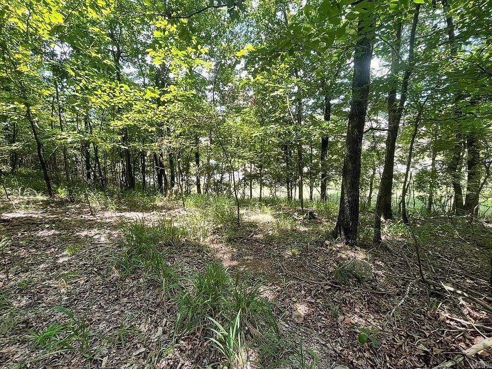 2nd image of LOT 36 Saratoga St