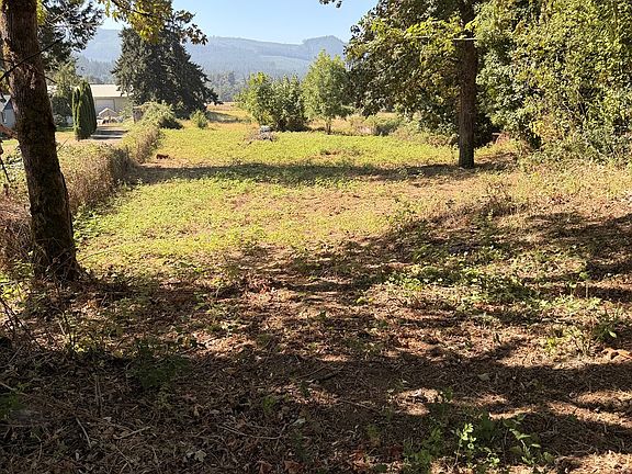 2nd image of McKenzie Hwy