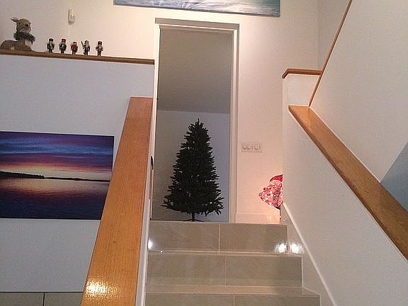 new stairs to back of house