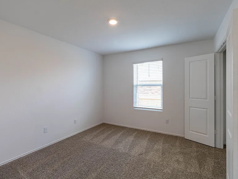 5601 Bellissima Way — Photo 15