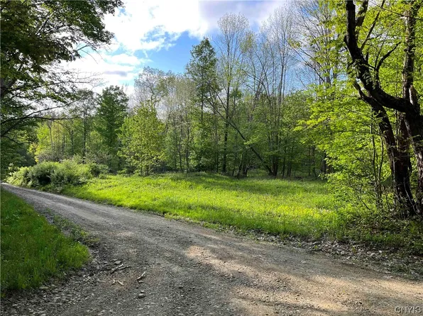 0 Putnam Rd, Great Valley, NY 14741