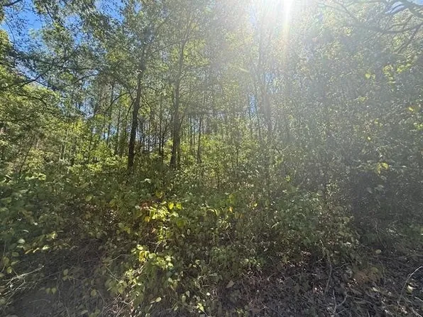 1 Kendrick Rd #1, Michie, TN 38357