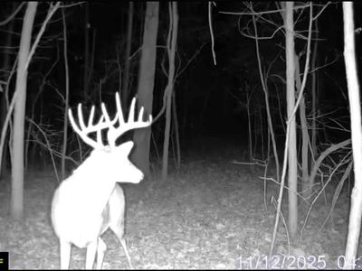 0 County Road 208, Fayette, MO, 65248