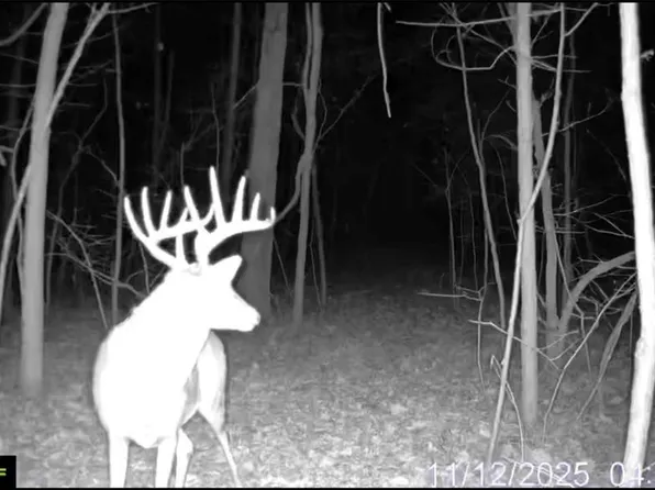 0 County Road 208, Fayette, MO 65248