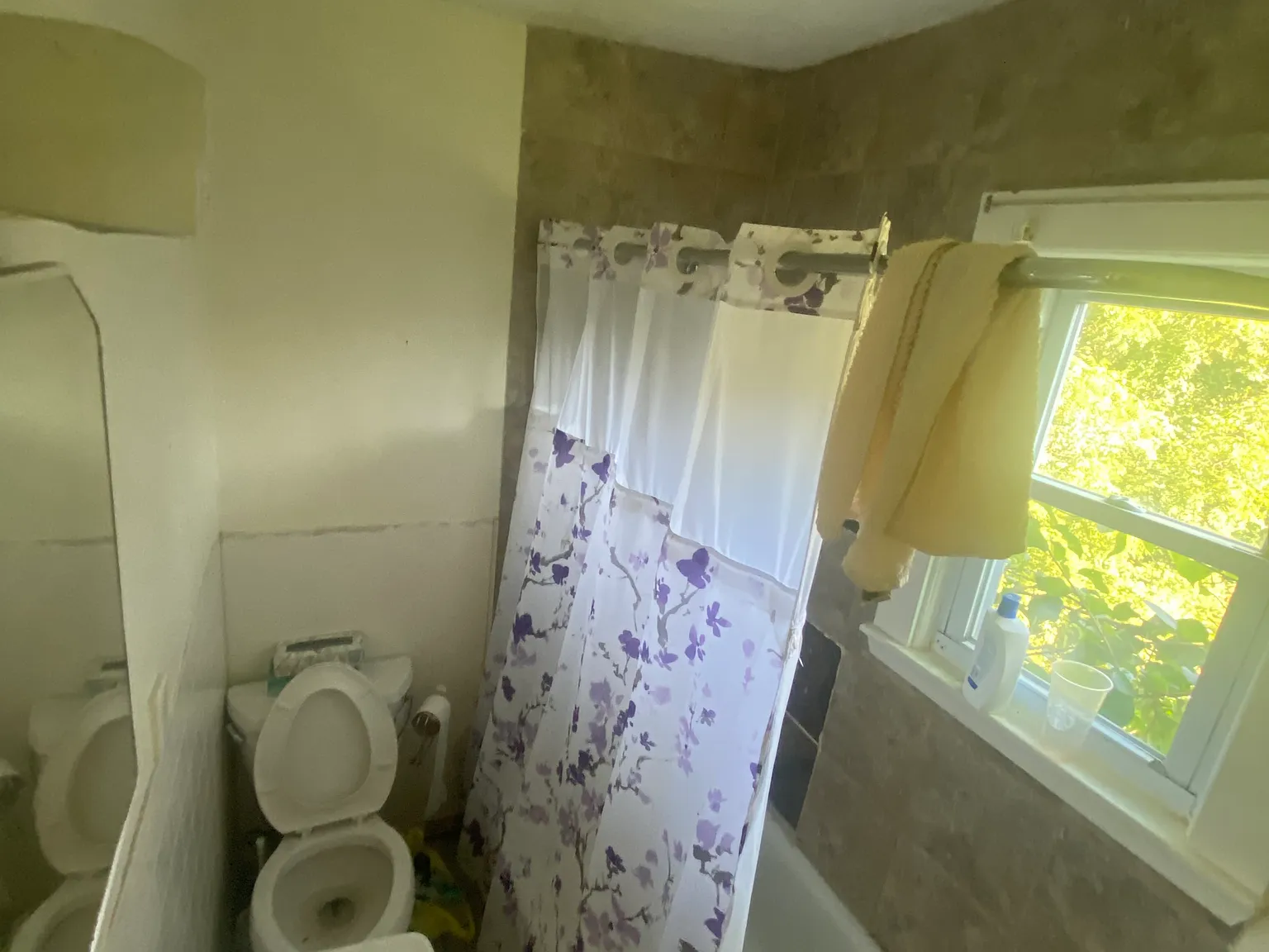 1 bed, $950 — Photo 3
