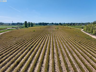 6815 S Knights Bridge Rd, Canby, OR, 97013